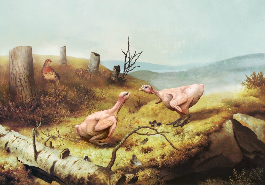 A pastiche of Taistelevat Metsot, feathers and trees removed