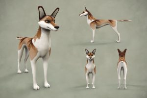 Pocket Paws, mobile game, 3D character, fox/dog/jackal